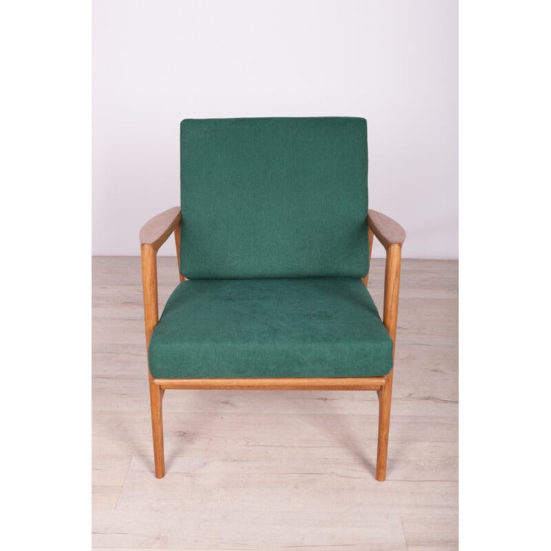 Vintage model 300-139 armchair by Swarzędzka, 1960s