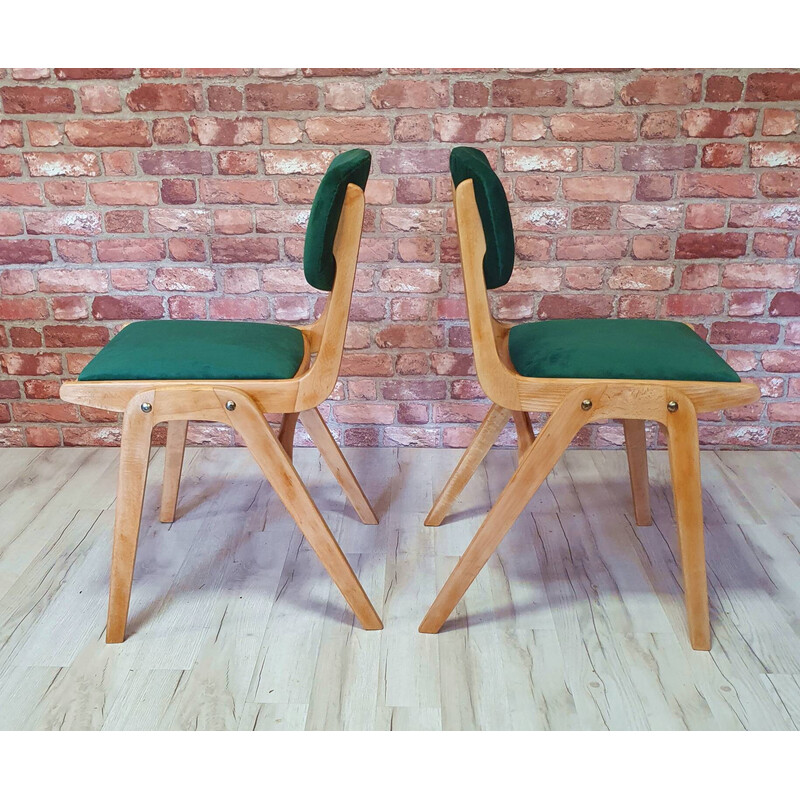 Cadeira Vintage Bumerang tipo 299, Polónia 1960