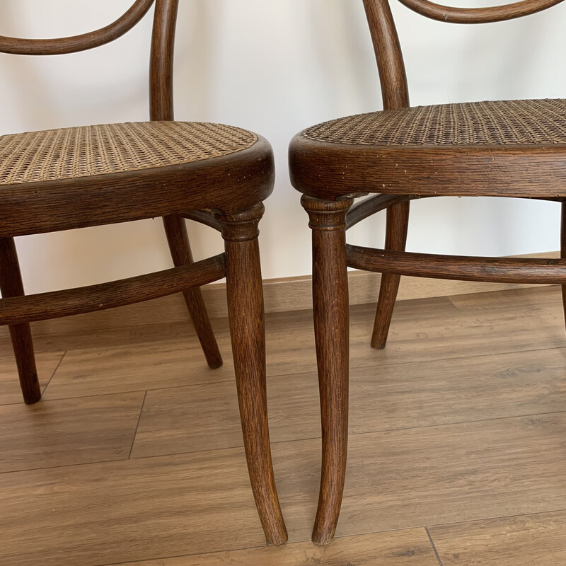 Pair of vintage Thonet chairs model n° 10 in bentwood, 1890