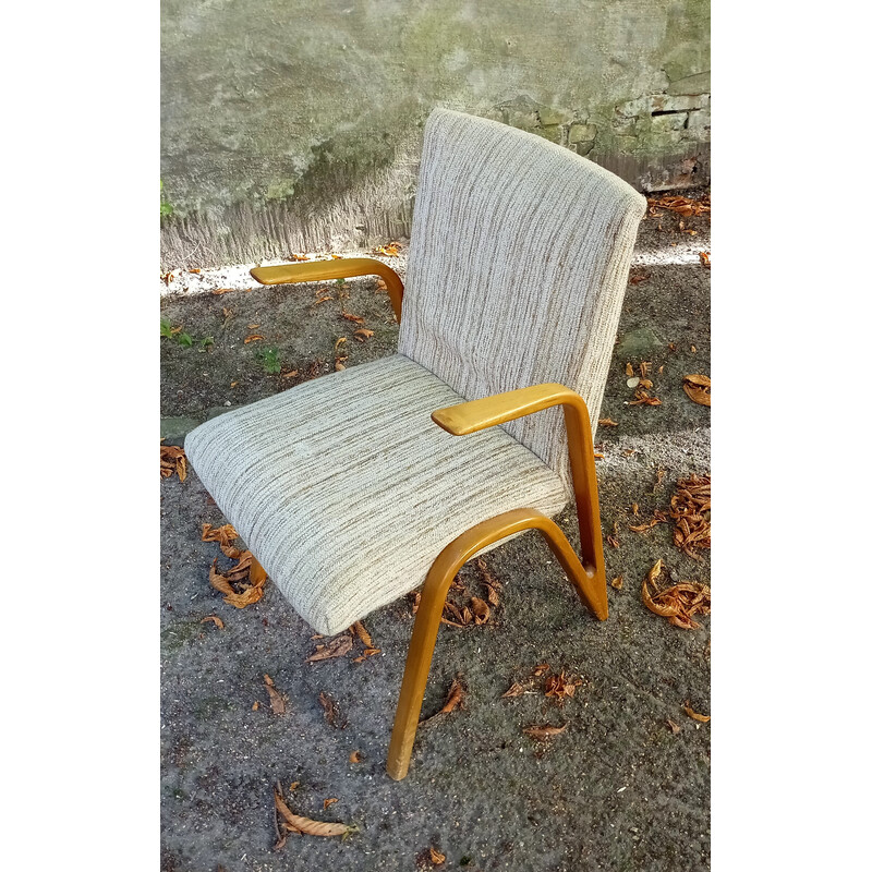 Fauteuil vintage de Paul Bode pour Federholzgesellschaft, 1955