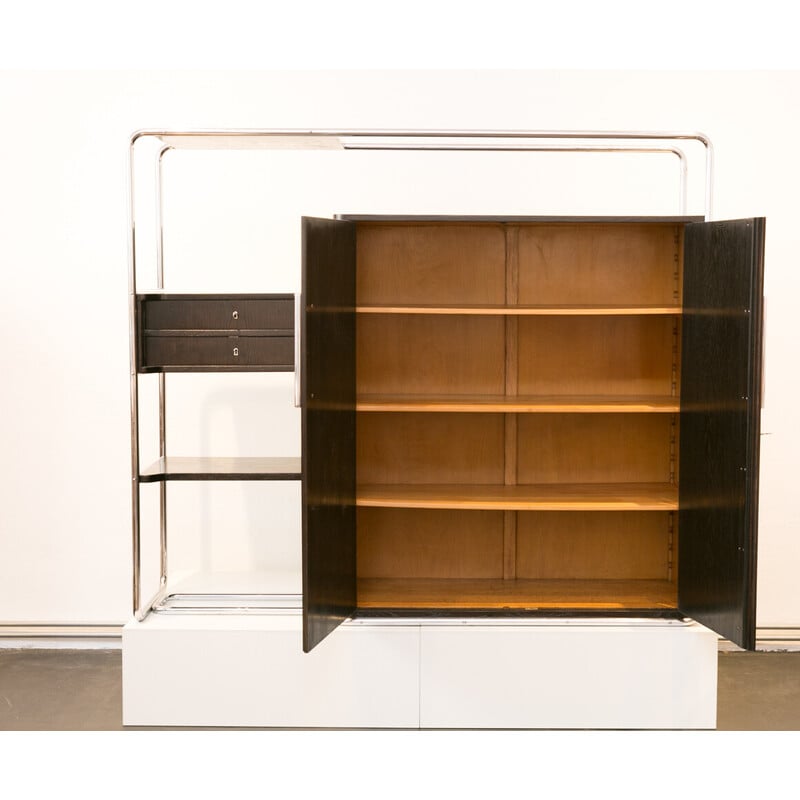 Vintage Bauhaus cabinet B-290 by Bruno Weil for Thonet Frankenberg, Germany 1932