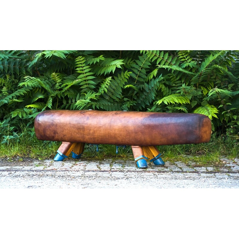 Vintage gymnastic leather pommel horse bench with wooden handles, 1920s