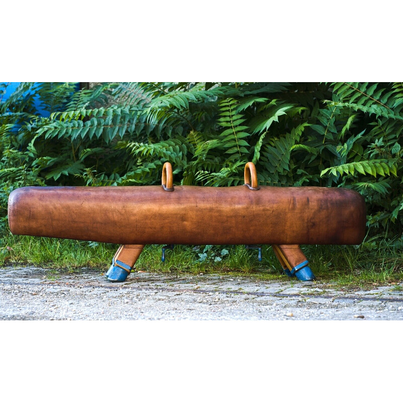 Vintage gymnastic leather pommel horse bench with wooden handles, 1920s