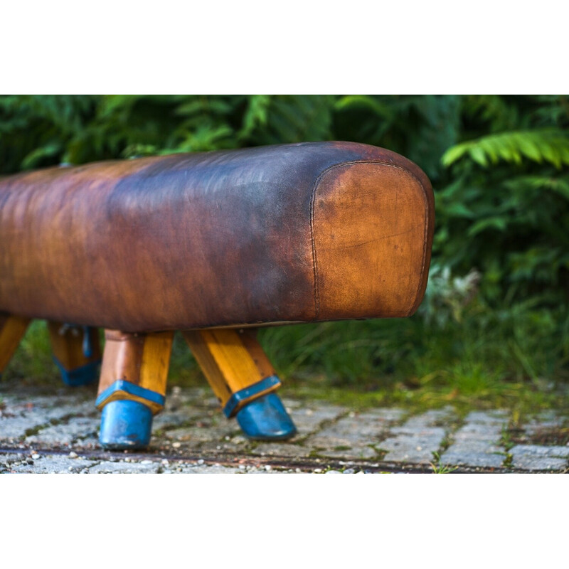 Vintage gymnastic leather pommel horse bench with wooden handles, 1920s