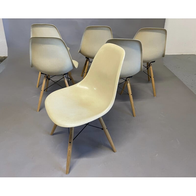 Set van 6 vintage "Dsw" kuipstoelen van Charles en Ray Eames voor Herman Miller, VS 1965.