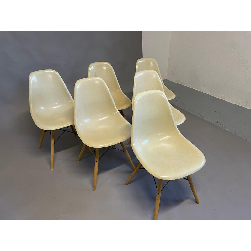 Conjunto de 6 cadeiras de concha "Dsw" vintage de Charles e Ray Eames para Herman Miller, E.U.A. 1965s