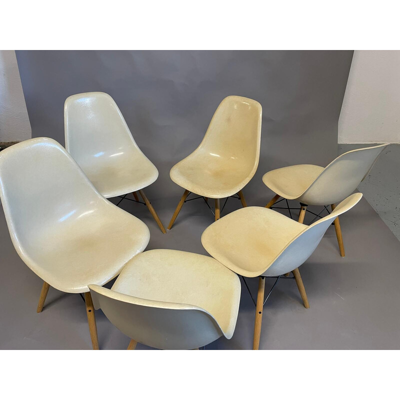 Satz von 6 alten "Dsw"-Schalenstühlen von Charles und Ray Eames für Herman Miller, USA, 1965er Jahre
