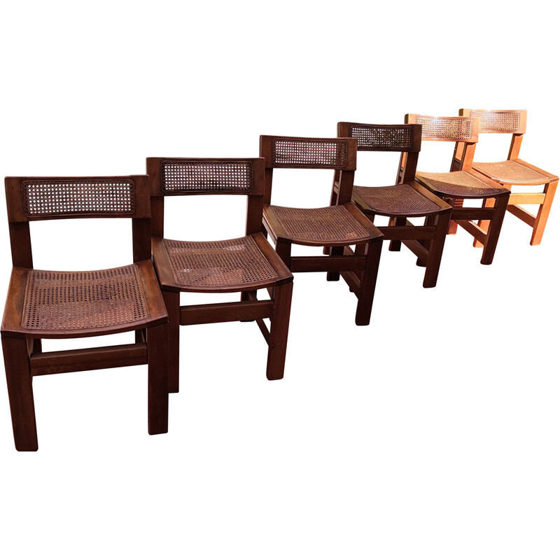 Set di 6 sedie brutaliste vintage in olmo e canna, 1960