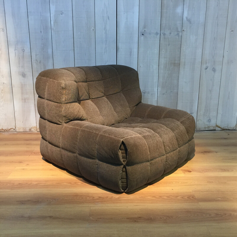 Armchair Ligne Roset by Michel Ducaroy - 1970s