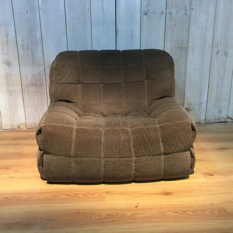 Armchair Ligne Roset by Michel Ducaroy - 1970s