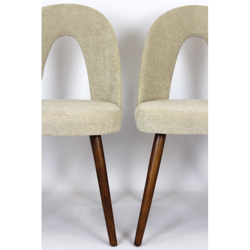 Juego de 4 sillas vintage de madera de haya, contrachapado y tela rizada de Antonin Suman para Mier, años 60