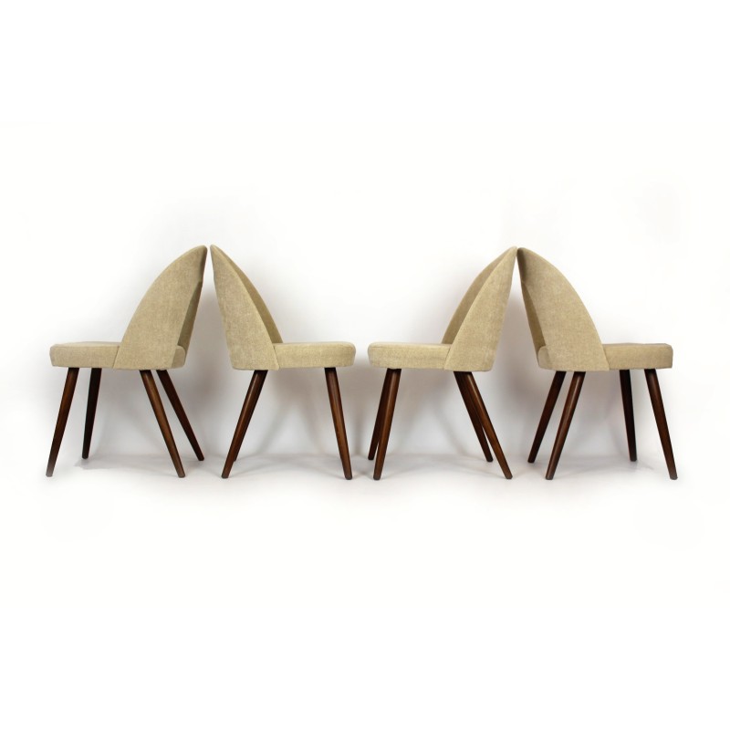 Conjunto de 4 cadeiras de madeira de faia, contraplacado e tecido encaracolado de Antonin Suman para Mier, década de 1960