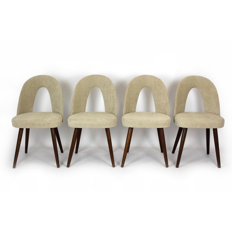 Set van 4 vintage stoelen van beukenhout, multiplex en gekrulde stof van Antonin Suman voor Mier, jaren 1960.