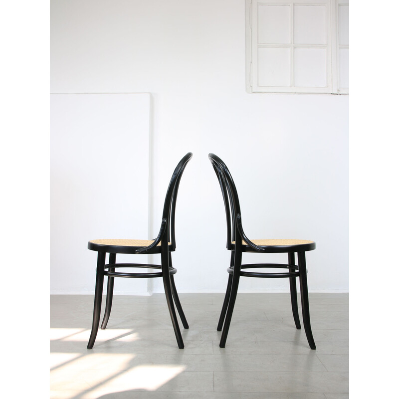 Paire de chaises vintage No. 18 par Michael Thonet