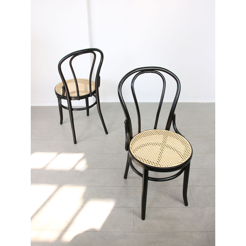 Paire de chaises vintage No. 18 par Michael Thonet