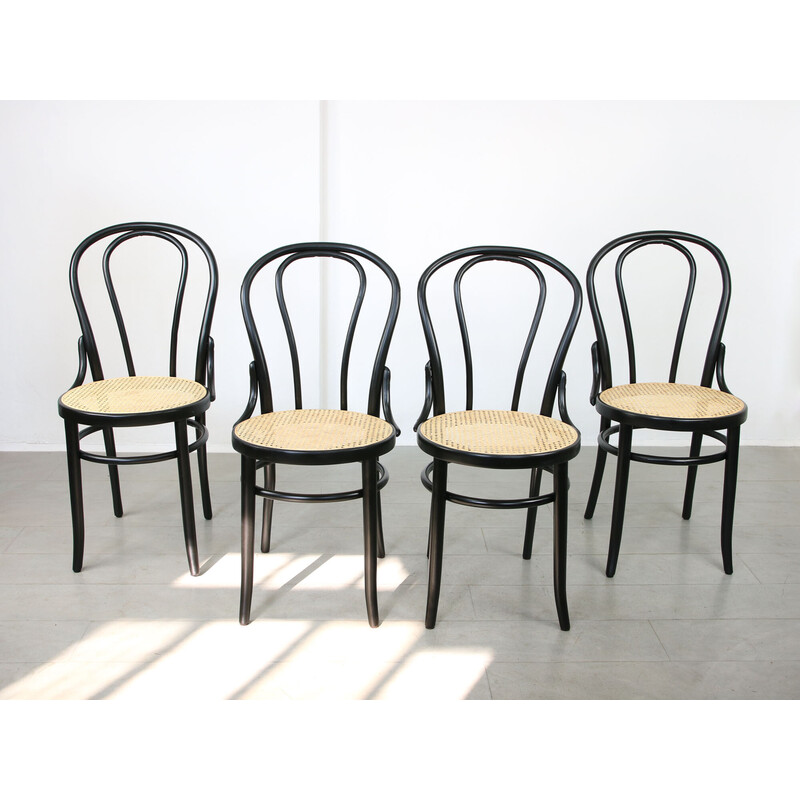 Paire de chaises vintage No. 18 par Michael Thonet