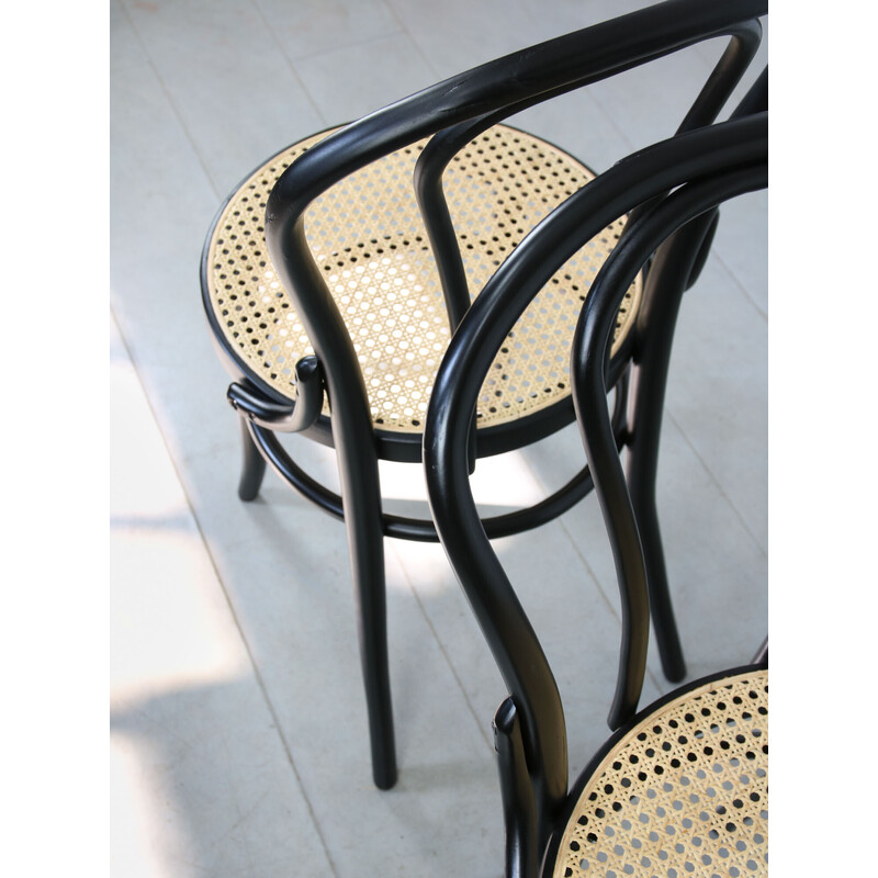 Paire de chaises vintage No. 18 par Michael Thonet