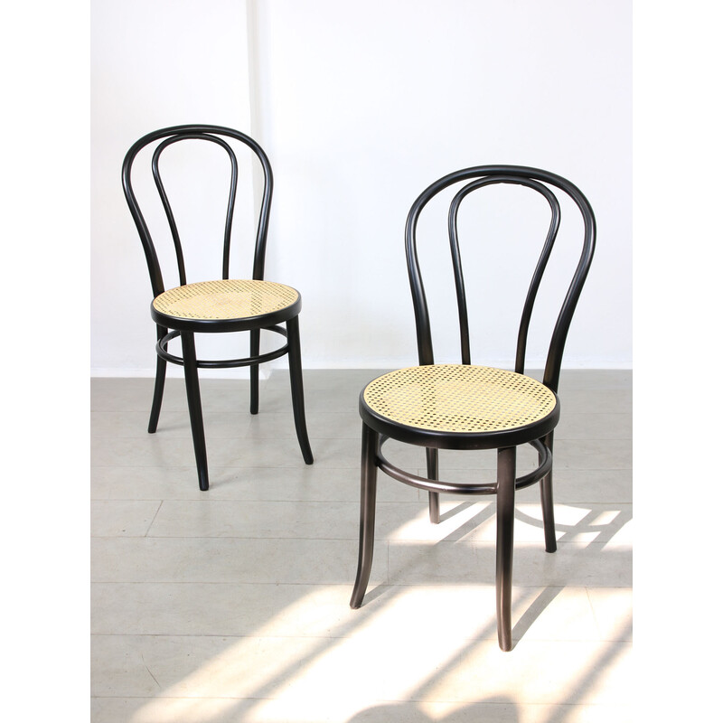 Par de cadeiras de jantar de Michael Thonet