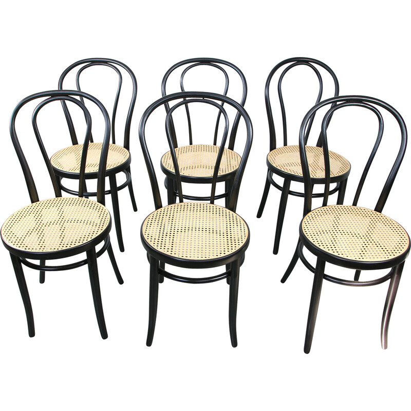 Paire de chaises vintage - michael thonet thonet