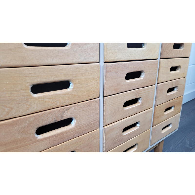 Vintage Esa chest of drawers by James Leonard for Esavian Esa Educational Supply Association, 1970s