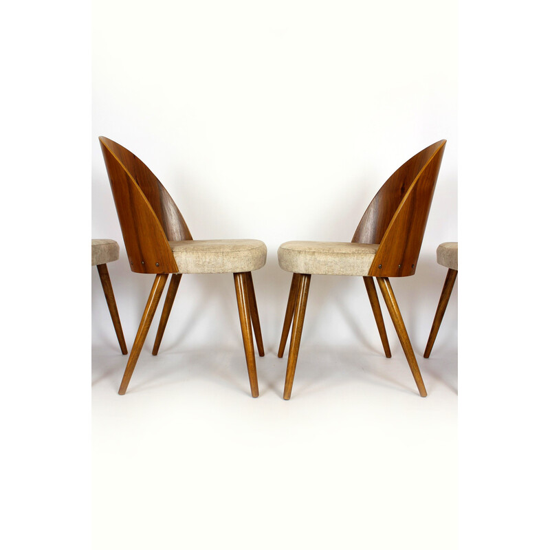 Juego de 4 sillas vintage de haya y nogal de Antonin Suman, años 60