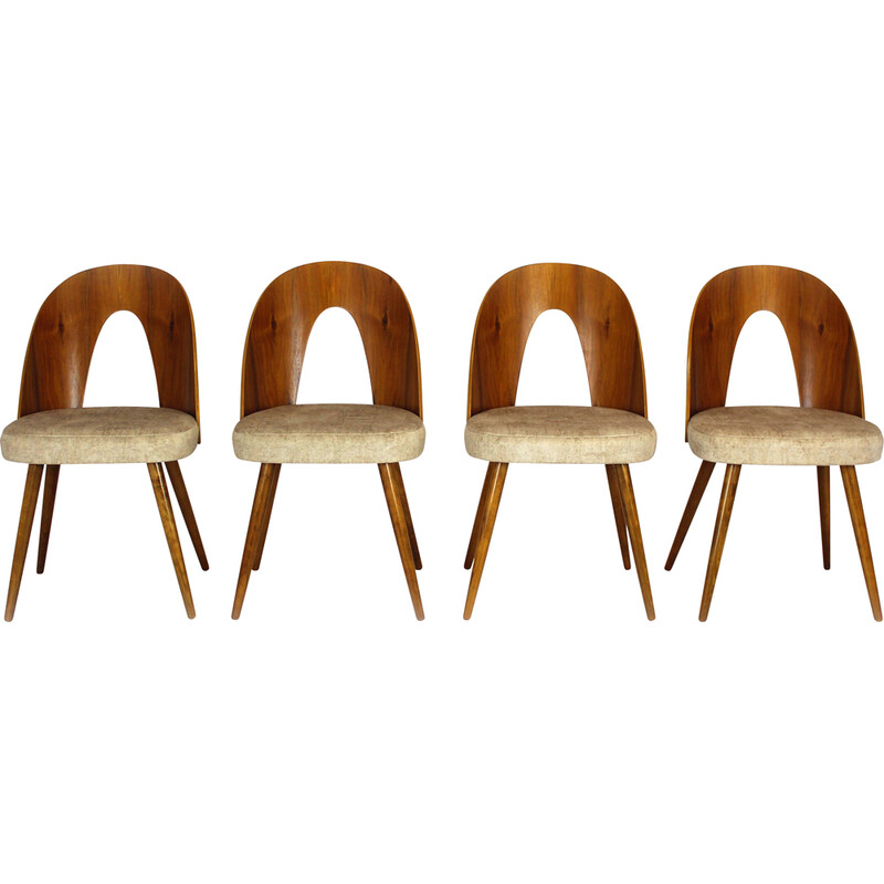 Conjunto de 4 cadeiras de faia e nogueira vintage por Antonin Suman, década de 1960