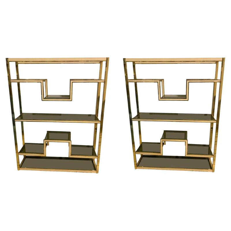 Pair of vintage brass, metal and smoked glass bookcases by Romeo Rega, Italy 1970s