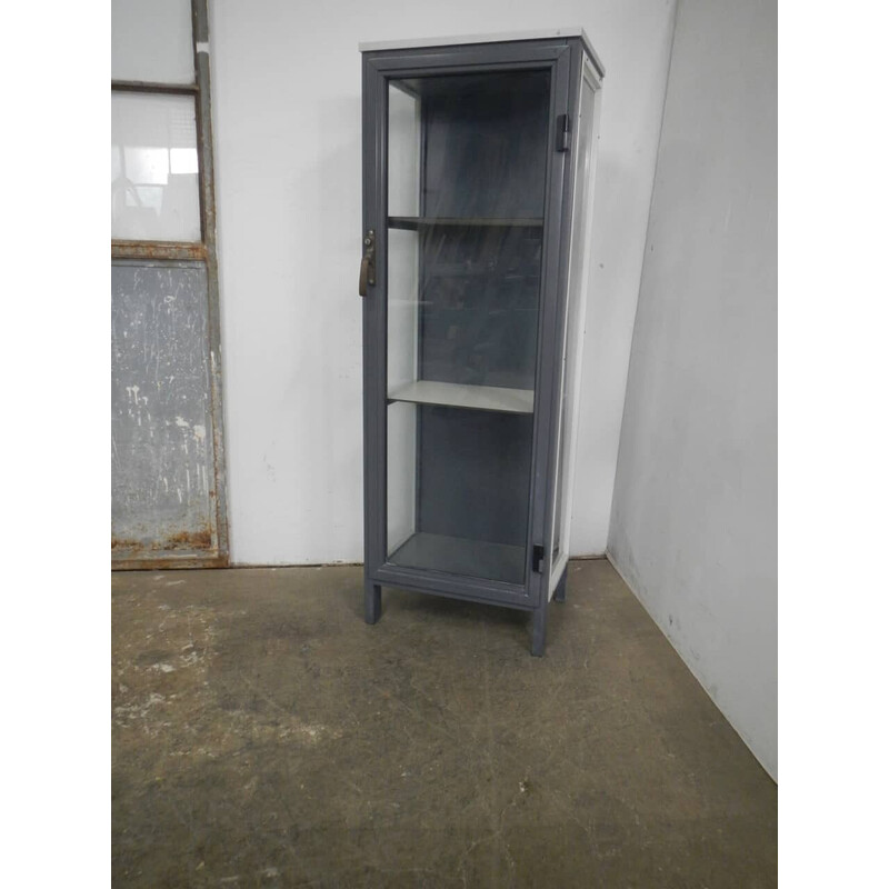 Vintage laboratory display cabinet in gray iron and wood