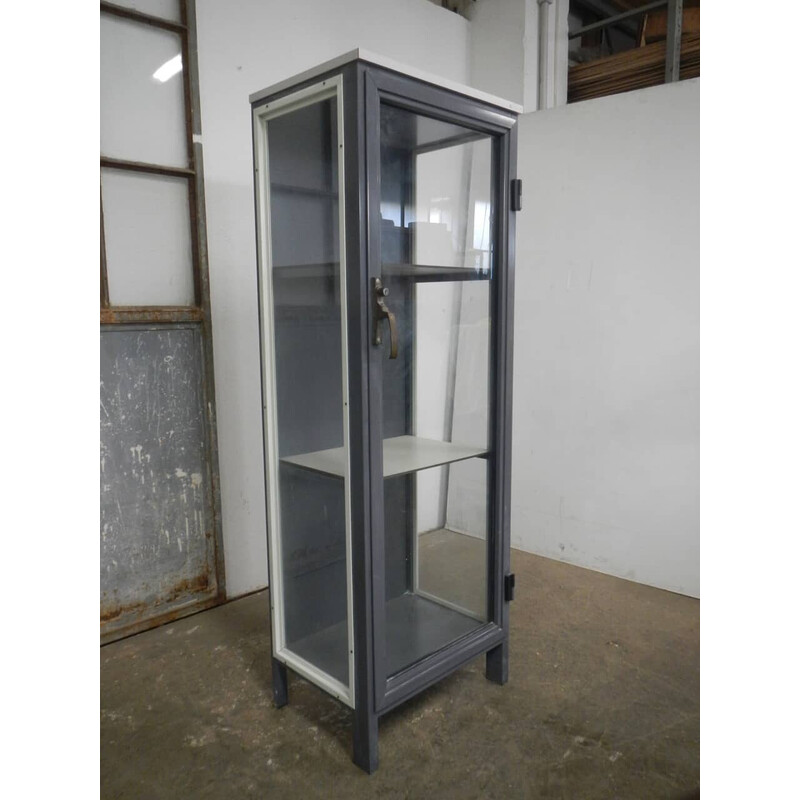 Vintage laboratory display cabinet in gray iron and wood