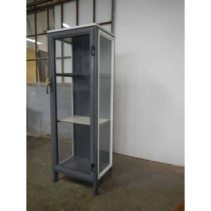 Vintage laboratory display cabinet in gray iron and wood