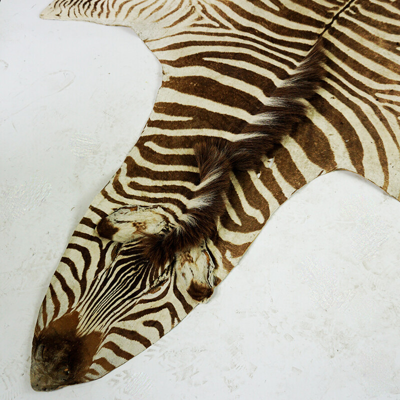 Vintage zebra skin rug