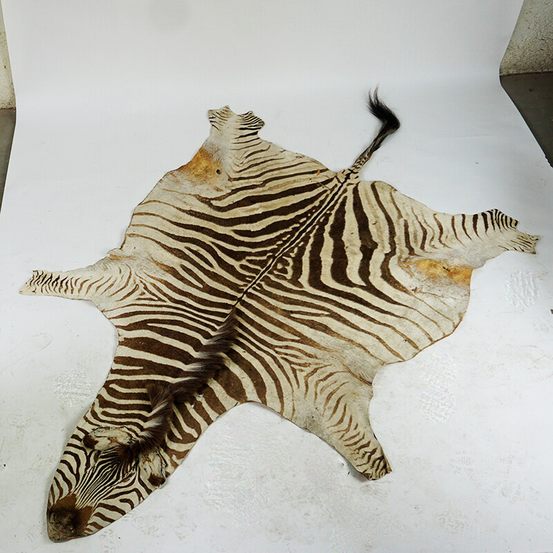 Vintage zebra skin rug