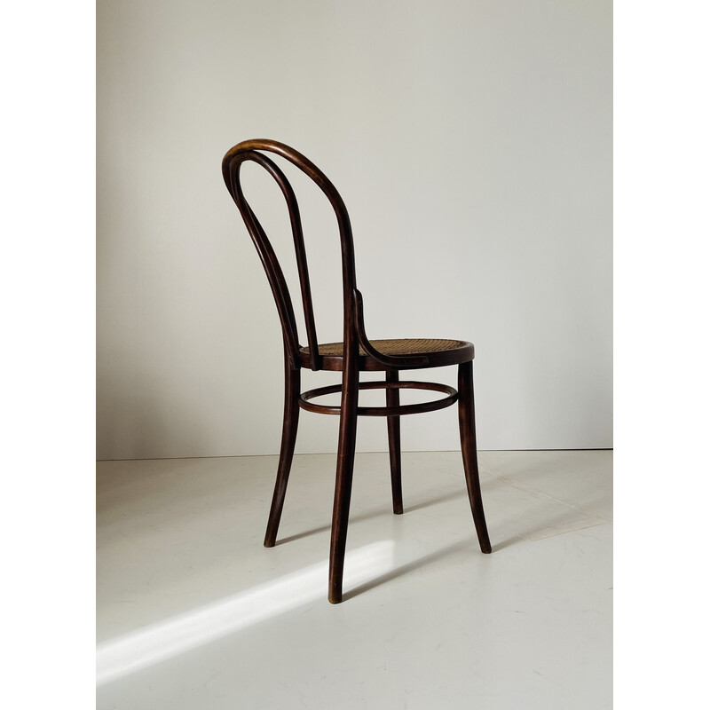 Set di 4 sedie vintage in canna e legno Thonet per Wienner, anni '30