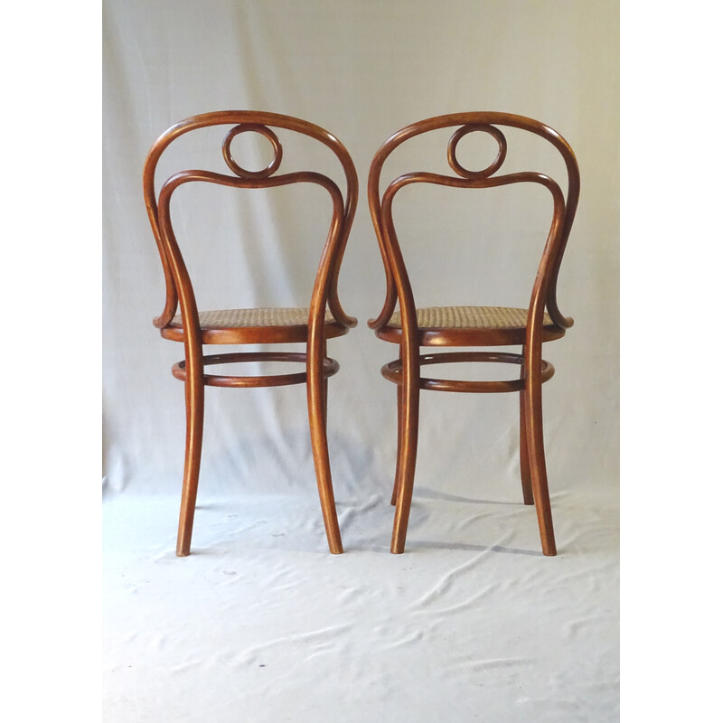 Pair of vintage N°31 chairs in cane by Thonet, 1885