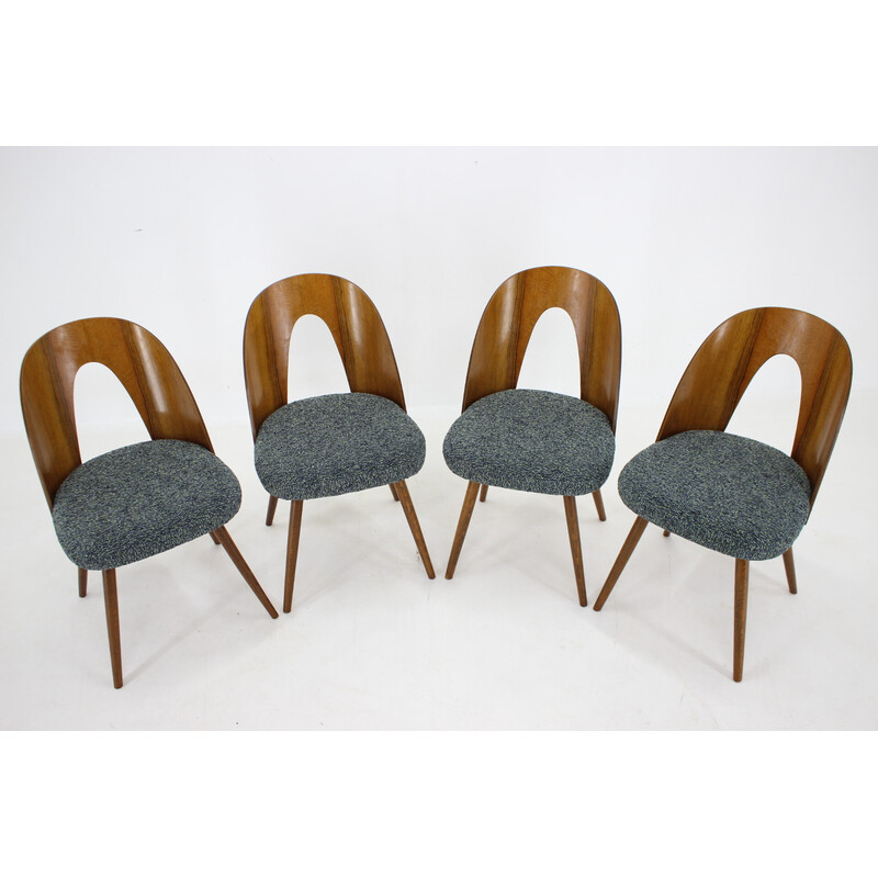Conjunto de 4 cadeiras de jantar de nozes vintage por Antonin Suman, Checoslováquia, década de 1960