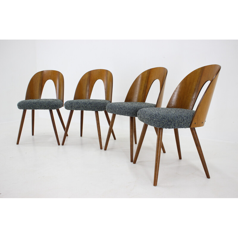 Conjunto de 4 cadeiras de jantar de nozes vintage por Antonin Suman, Checoslováquia, década de 1960