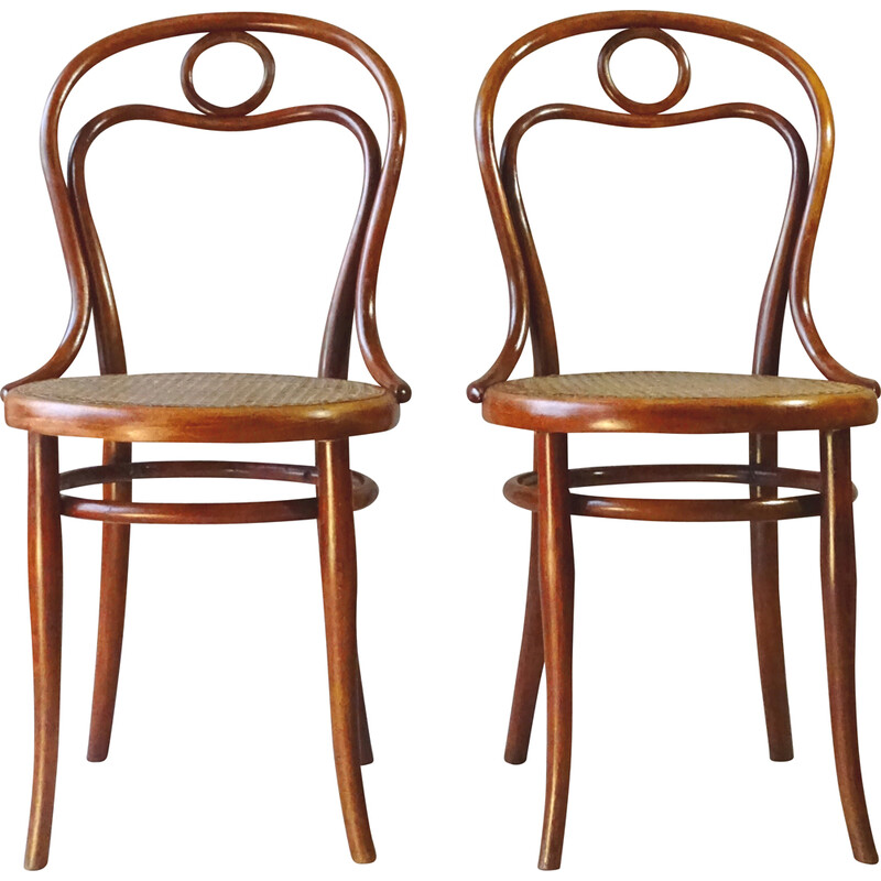 Pair of vintage N°31 chairs in cane by Thonet, 1885