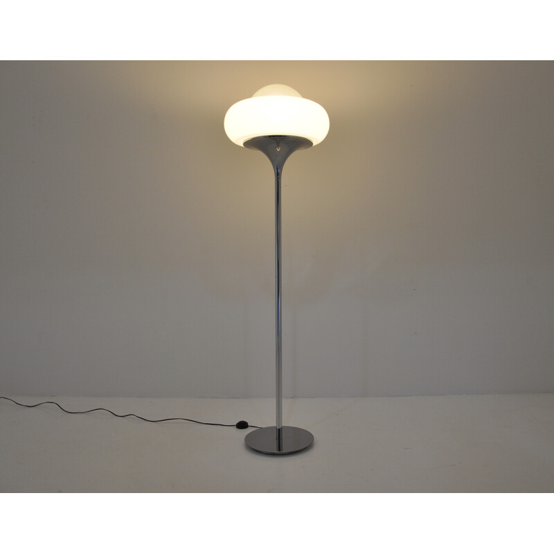 Vintage metalen, plastic en opaline vloerlamp van Harvey Guzzini, 1960