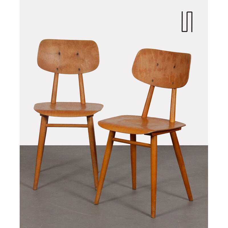 Pair of vintage wooden chairs for Ton, 1960s