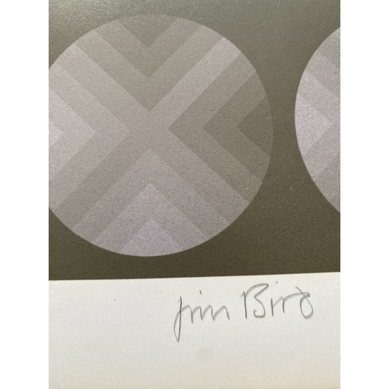 Vintage fotográfico "Tributo a Vasarely" por Jim Bird pour Poligrafa, Barcelone 1970