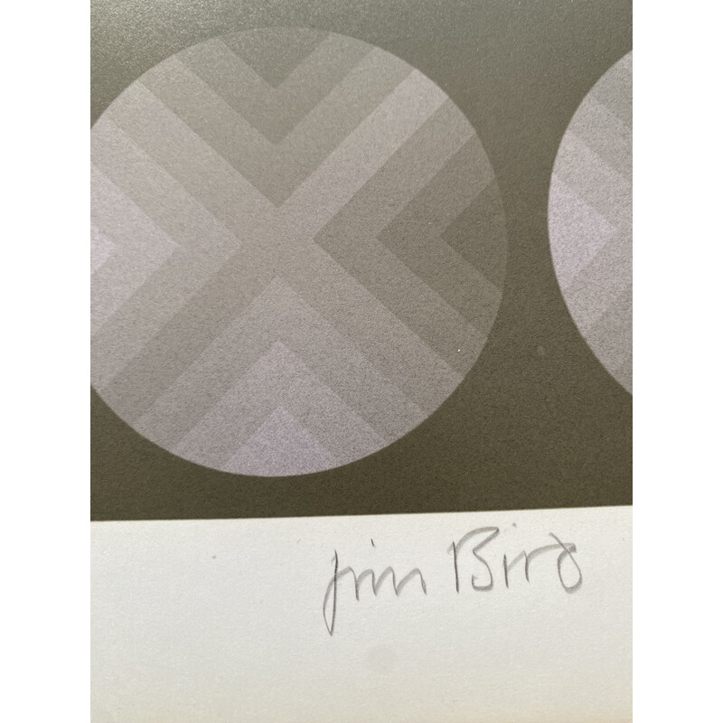 Vintage photolithograph "Tribute to Vasarely" by Jim Bird for Poligrafa, Barcelona 1970