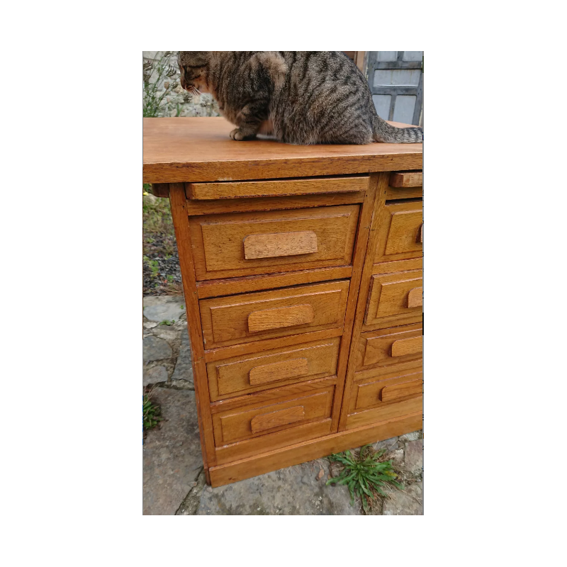 Vintage oak cabinet with 8 drawers
