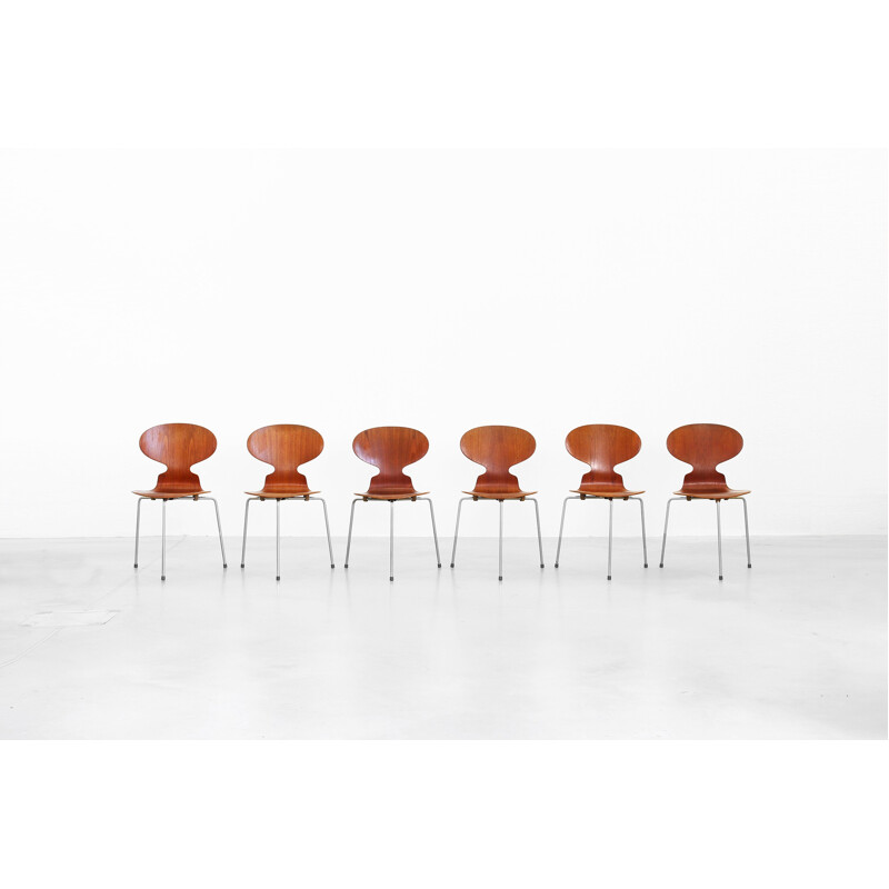 Set of Six Ant dining chairs in teak model 3100 by Arne Jacobsen for Fritz Hansen - 1950s