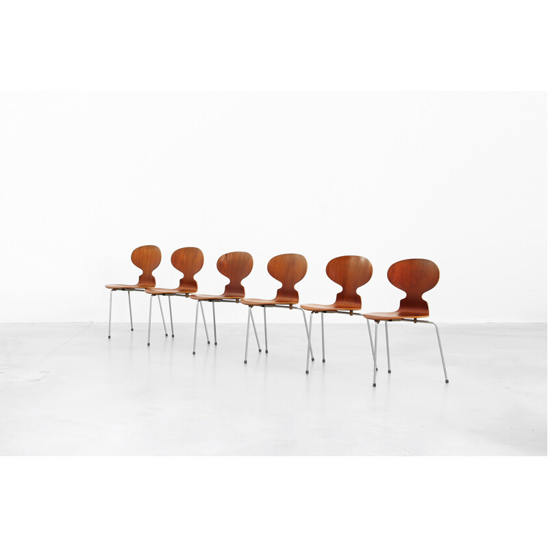 Set of Six Ant dining chairs in teak model 3100 by Arne Jacobsen for Fritz Hansen - 1950s