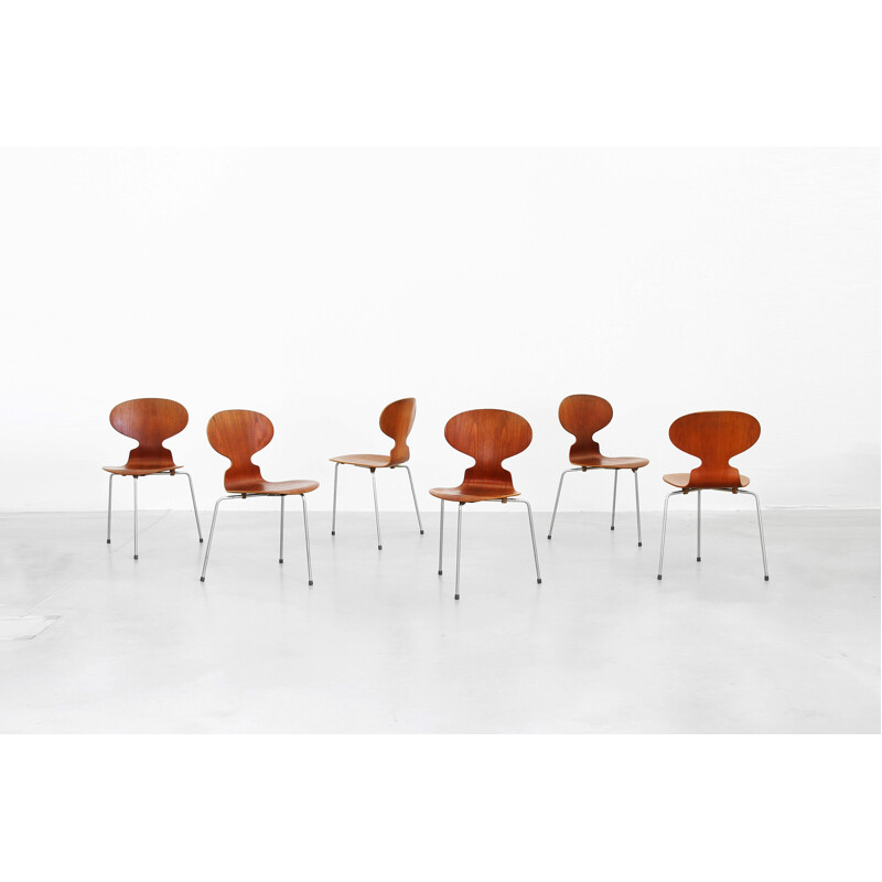 Set of Six Ant dining chairs in teak model 3100 by Arne Jacobsen for Fritz Hansen - 1950s