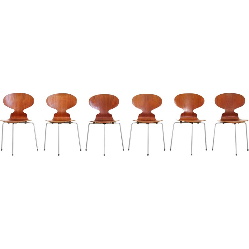 Set of Six Ant dining chairs in teak model 3100 by Arne Jacobsen for Fritz Hansen - 1950s