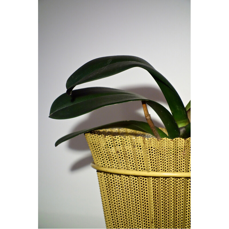 Vintage pot cover in yellow rigitulle by Mathieu Matégot, France 1953s