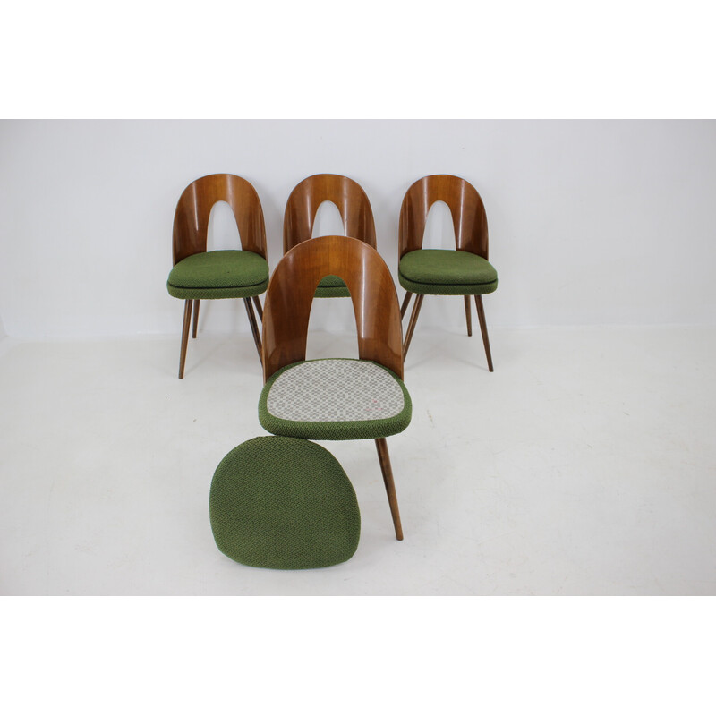 Set of 4 vintage dining chairs in walnut by Antonin Suman, Czechoslovakia 1960s