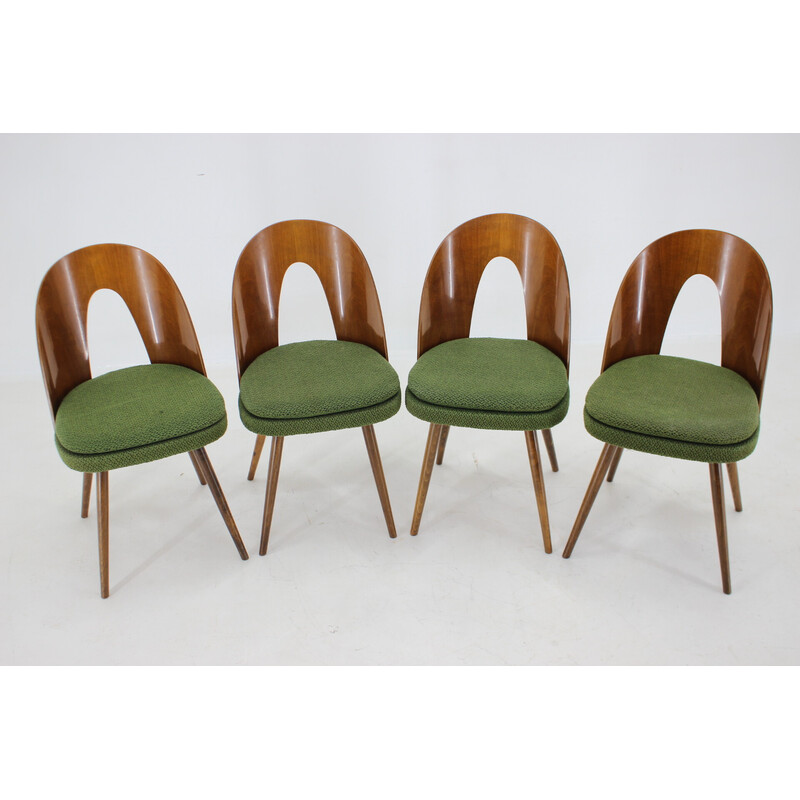 4 Esszimmerstühle aus Nussbaumholz von Antonin Suman, Tschechoslowakei 1960er Jahre