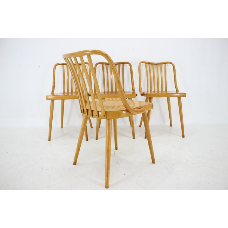 Set van 4 vintage beukenhouten eetkamerstoelen van Antonin Suman, Tsjecho-Slowakije 1960